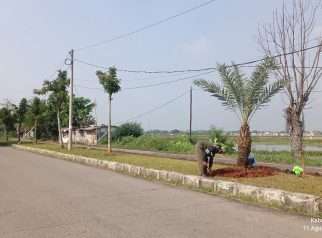 Pekerja merawat pohon kurma di median Jalan Tugu Proklamasi, Rengasdengklok, Karawang, Senin (11/8/2025) pagi.